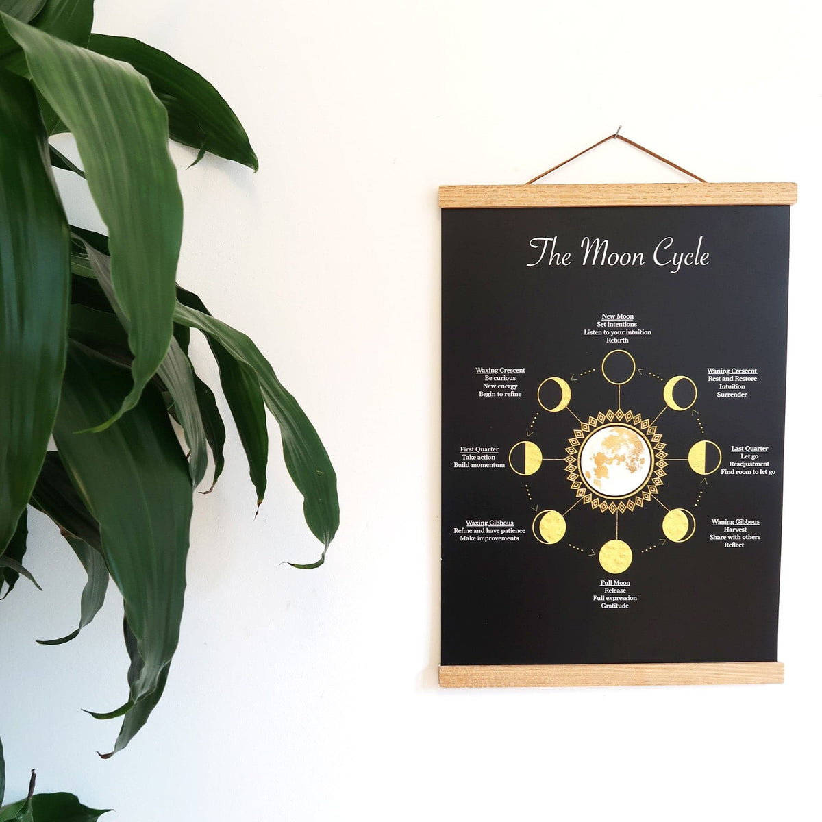 The moon cycle poster with wooden hanger – Coppermoon