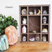 Zodiac Crystal Shelf - coppermoonboutique