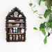Pentagram Botanical Apothecary Shelf - coppermoonboutique