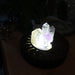 Celestial Crystal Light Box - coppermoonboutique