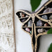 Luna Moth Wooden Crystal Shelf - coppermoonboutique